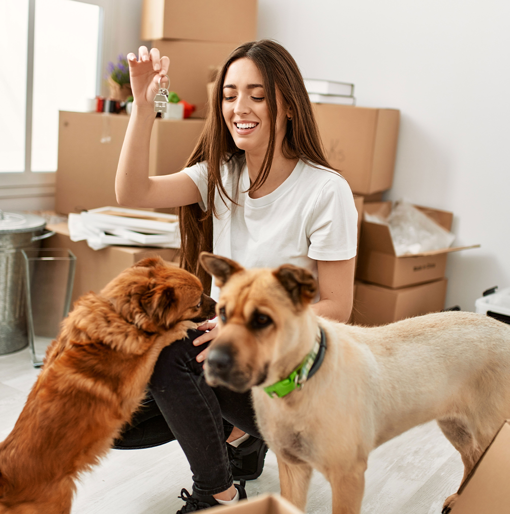 Pty Contact img 1 | petxpress pet taxi