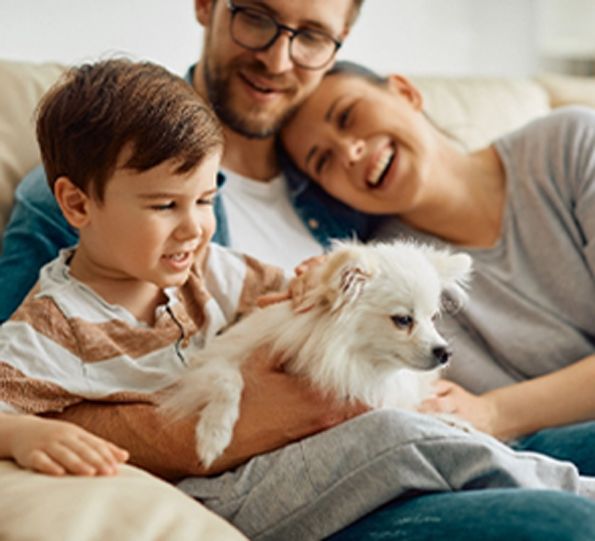 Pty Insta a Img 5 1 | petxpress pet taxi