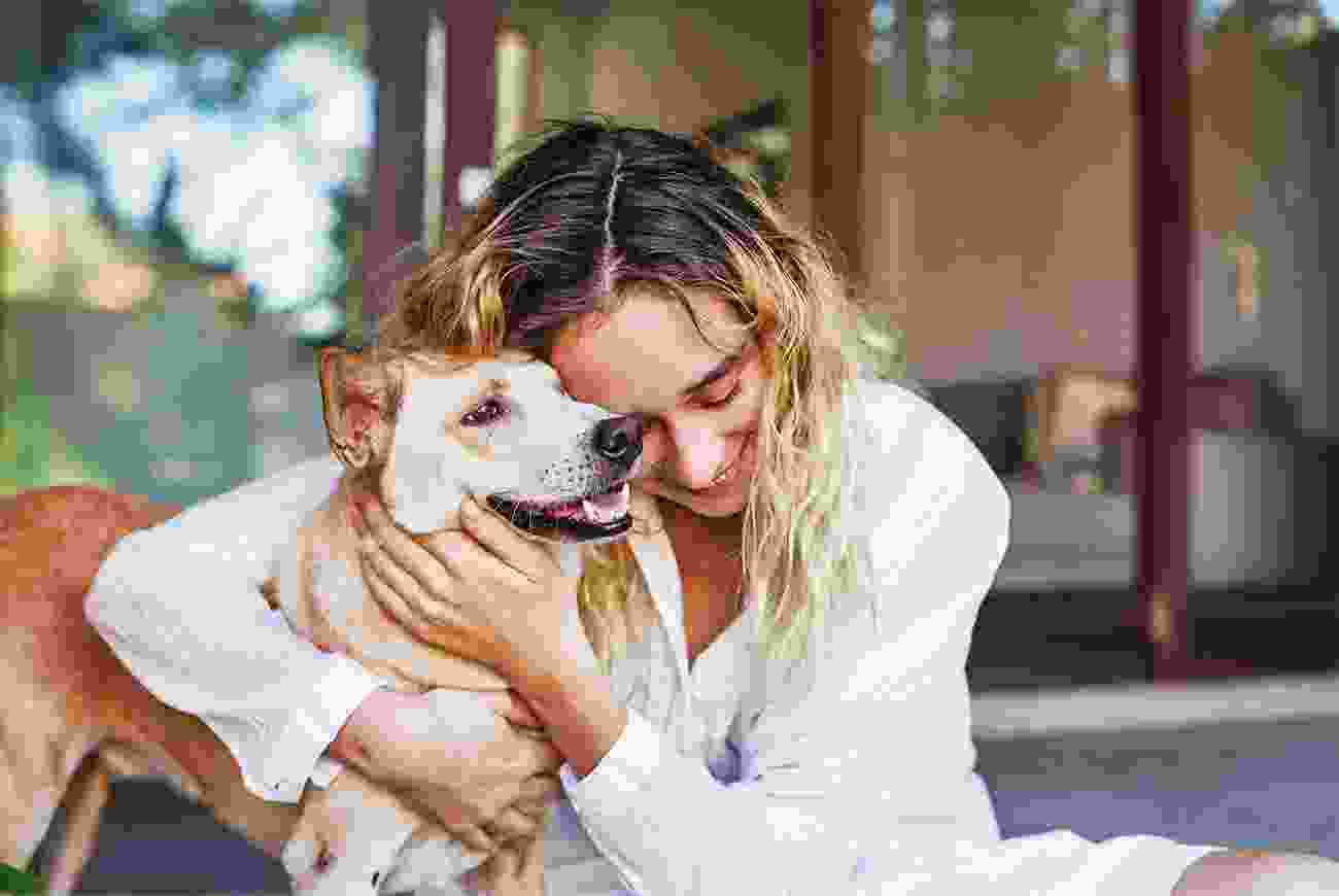 Blog 1 | petxpress pet taxi