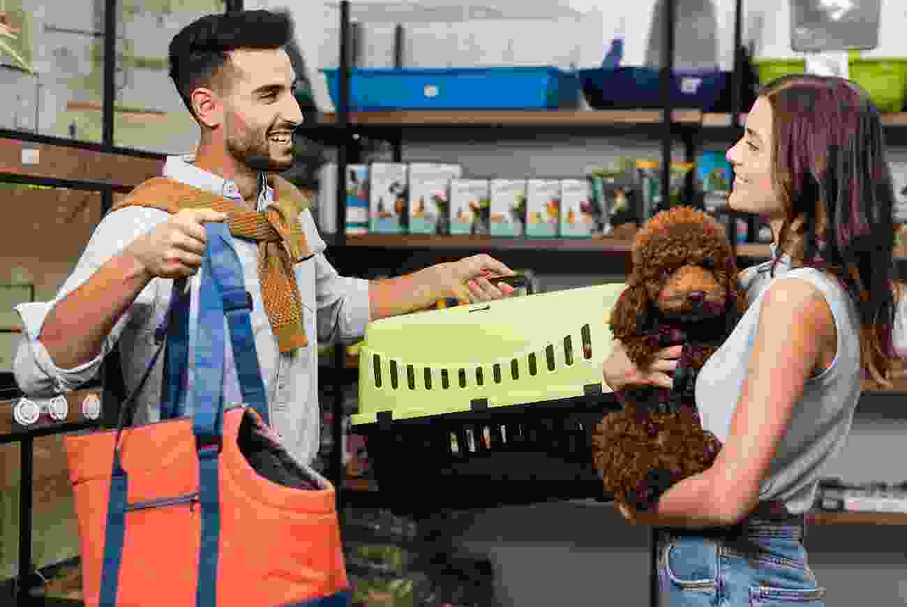 blog 1 1 | petxpress pet taxi