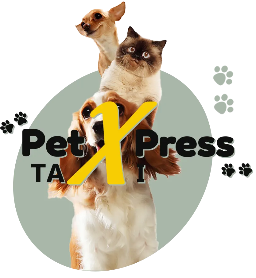 Petxpress Pet Taxi Home About Us 3 | petxpress pet taxi