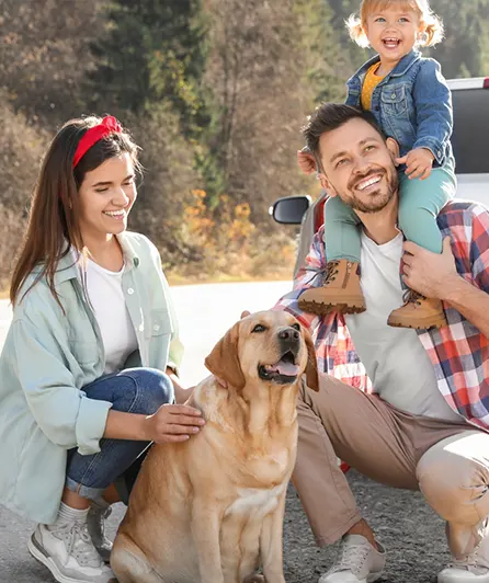 Petxpress Pet Taxi Service img 2 | petxpress pet taxi