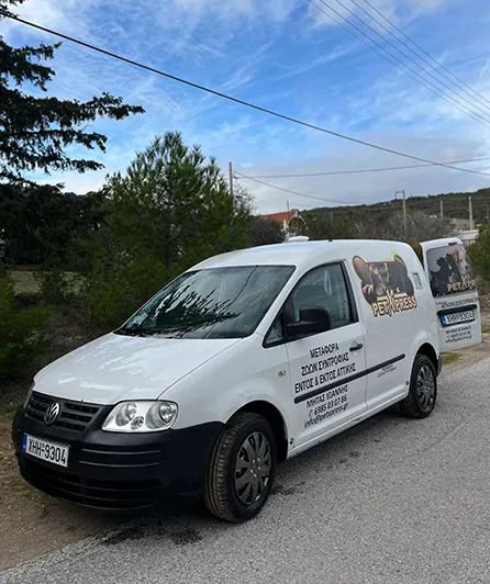 Petxpress Pet Taxi Service img 3 | petxpress pet taxi