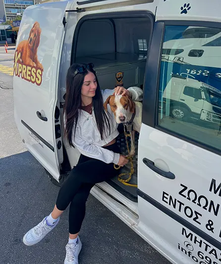 Petxpress Pet Taxi Service Home 2 | petxpress pet taxi